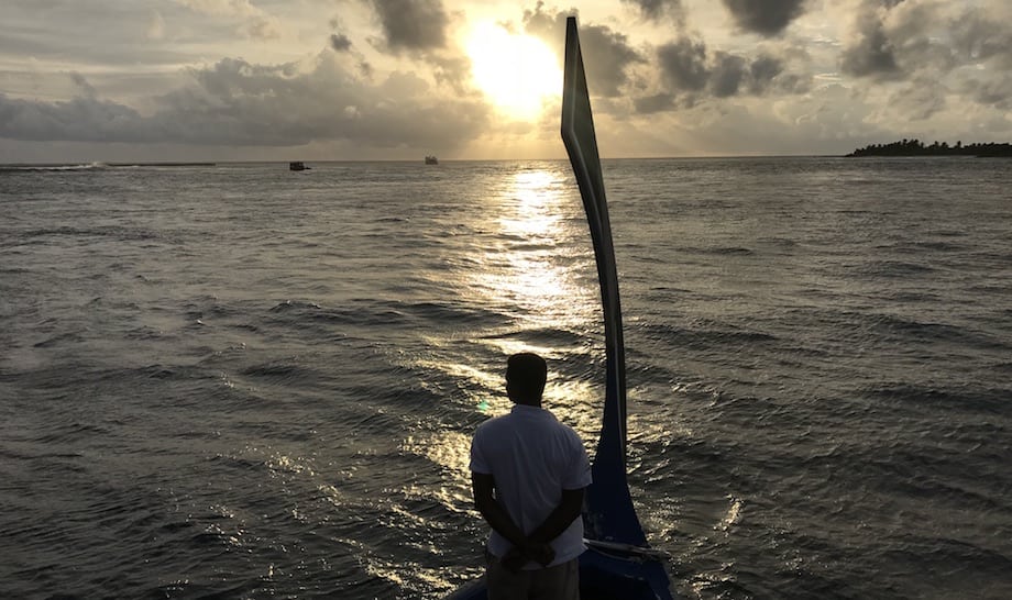 The Residence Maldives sunset dolphin spotting cruise