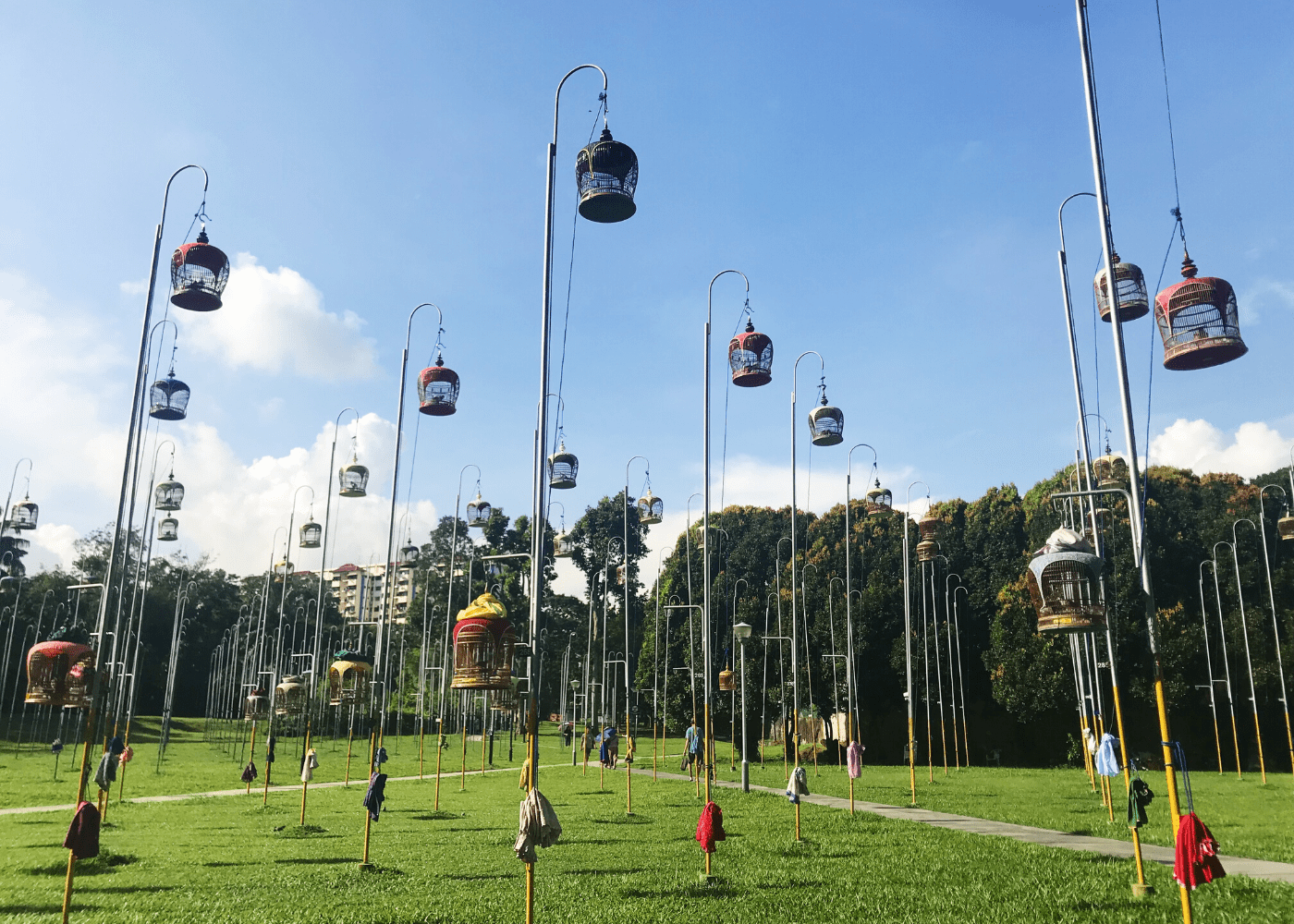 Guide to Ang Mo Kio: Good food, great sights and amazing things to do