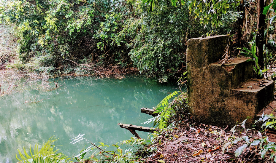 Follow our hike to the abandoned Keppel Hill Reservoir