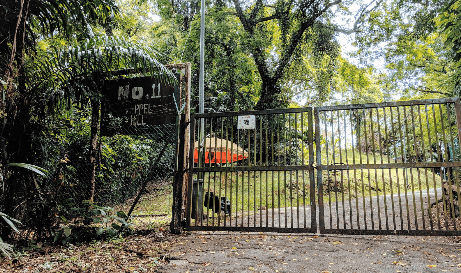 Follow our hike to the abandoned Keppel Hill Reservoir