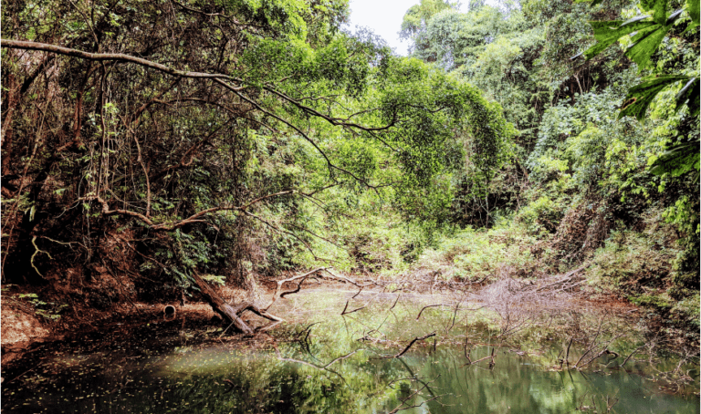 Keppel Hill Reservoir Trek: We explored a century-old abandoned reservoir so that you don’t have to