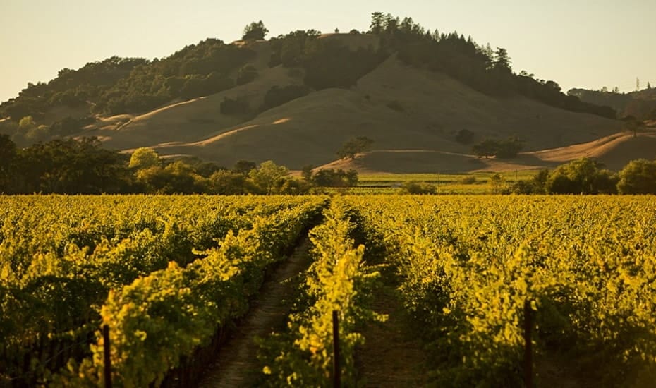 Wines of California – Tutored Tasting