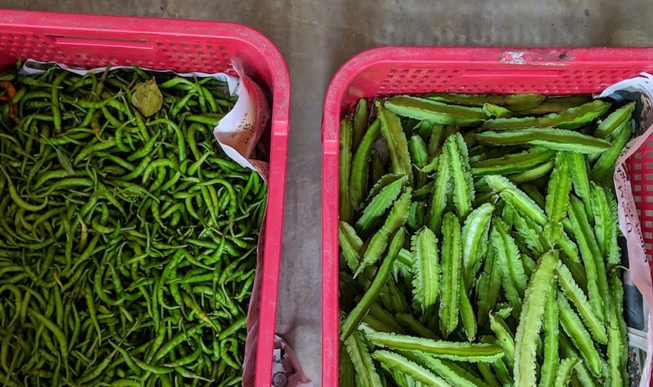 Chillies and wing beans grown on Cempedak Private Island's farm.