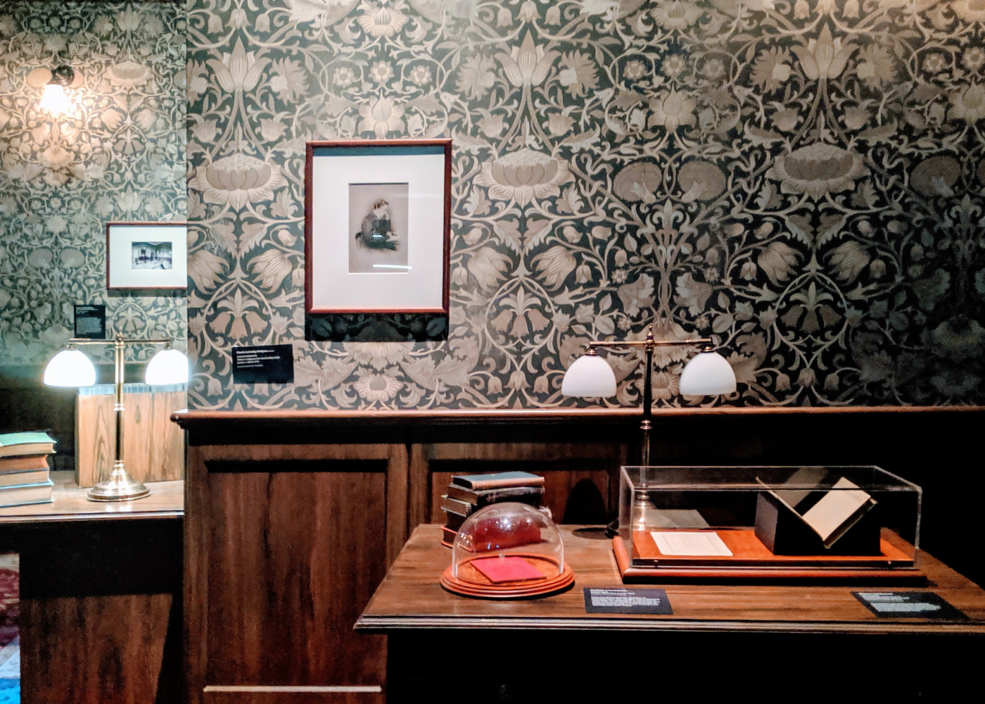 Love fantasy, will explore? Fall into Wonderland at the ArtScience Museum