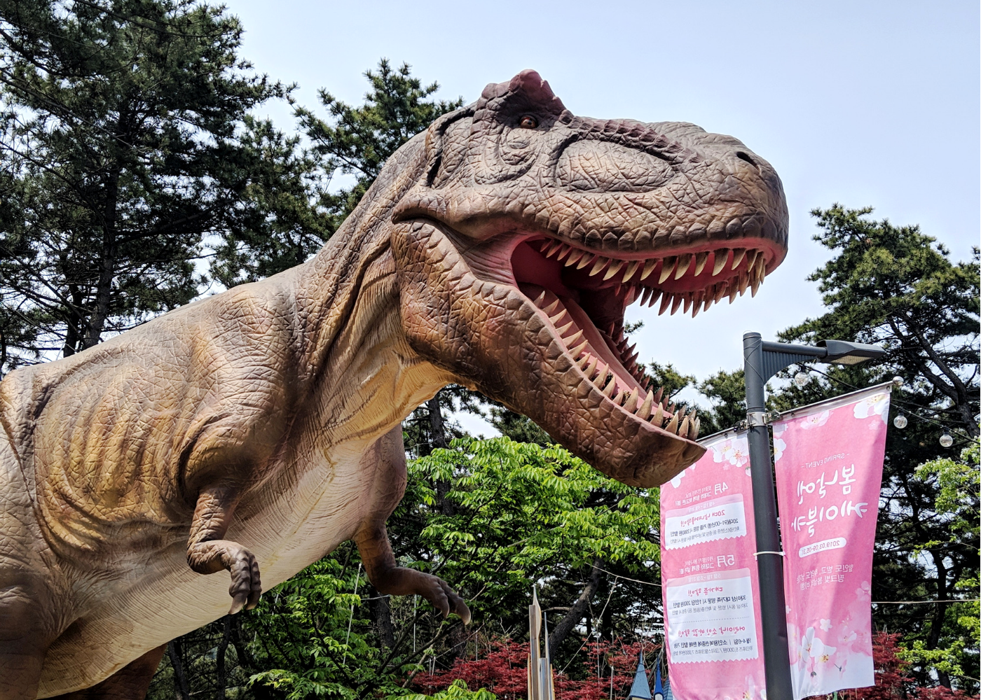 T-rex spotted at Songdo