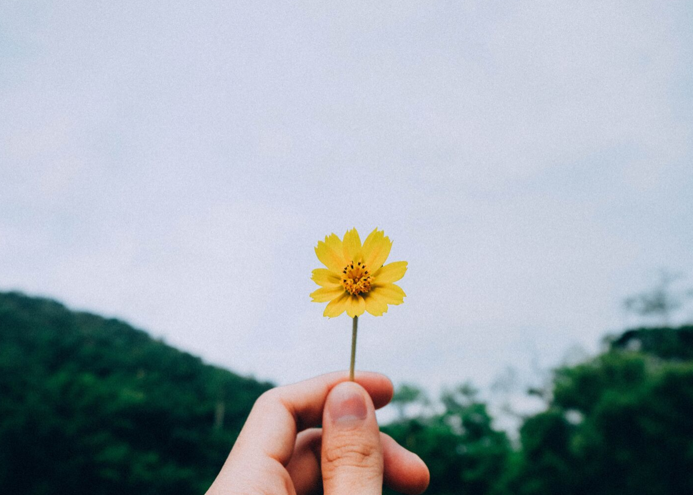 Pursuit of Happiness: Lifestyle mantras and philosophies to adopt for self-care