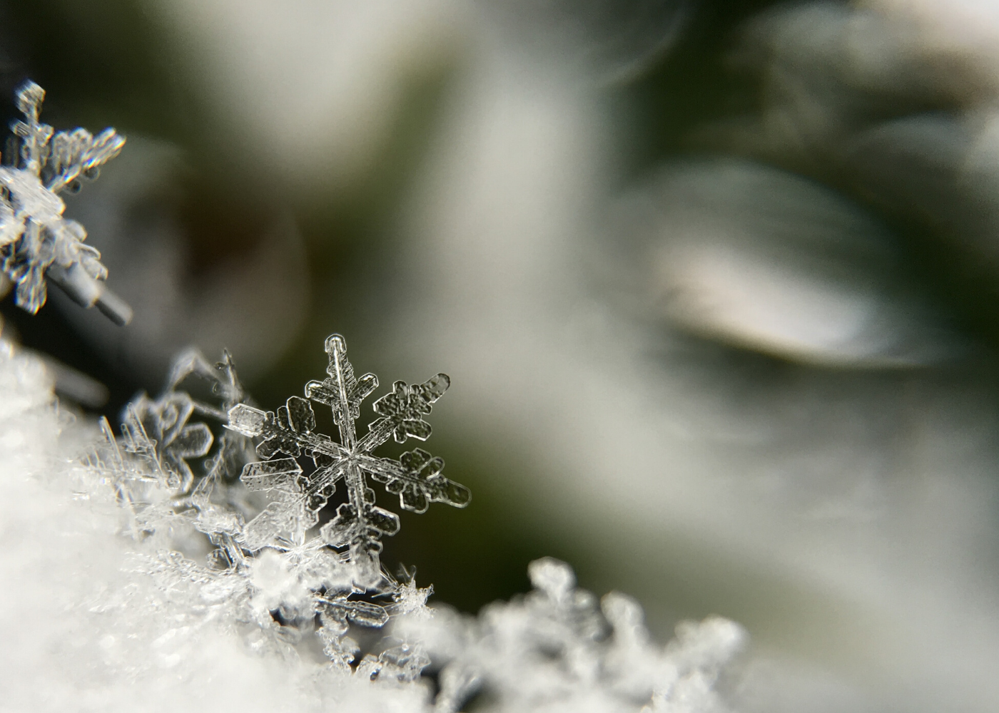 We found snow in Singapore so you can actually dream of a white Christmas