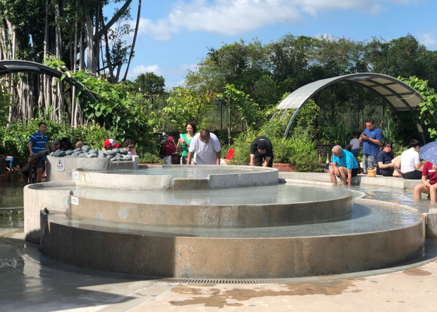 Into the wild: Explore the refreshed Sembawang Hot Spring Park, the only one of its kind in Singapore