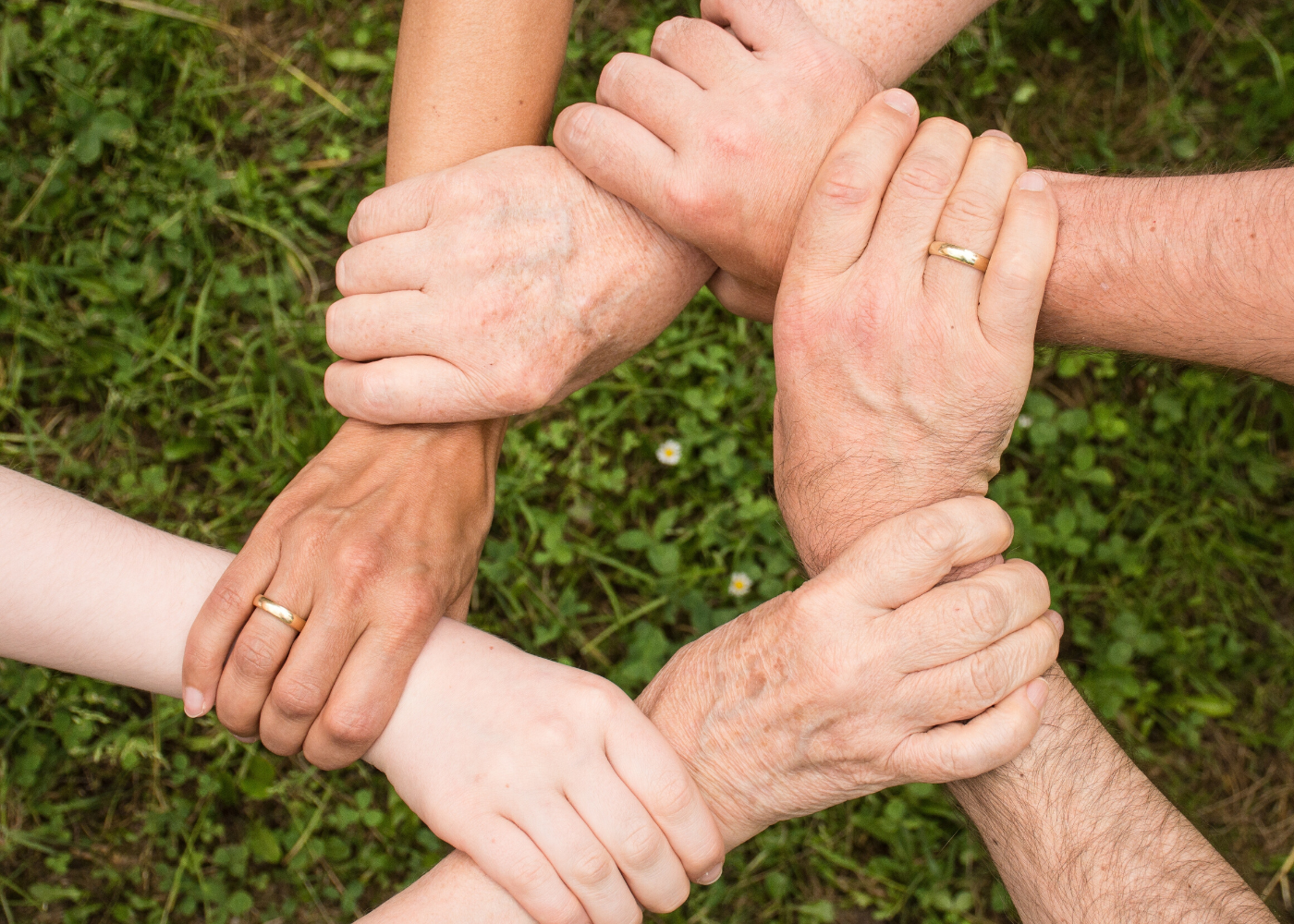 Volunteering opportunities for every personality with the SG Cares app