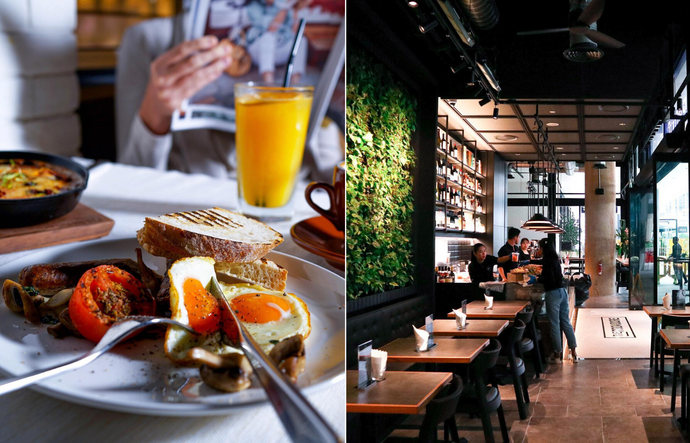 the providore