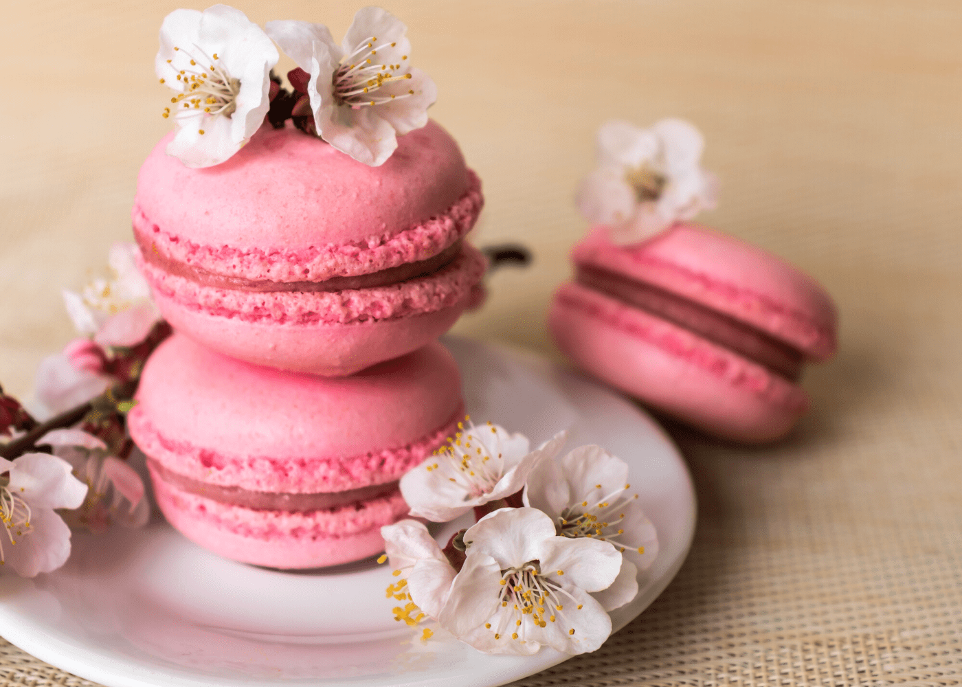 Spring into sakura season with these cherry blossom-themed menus