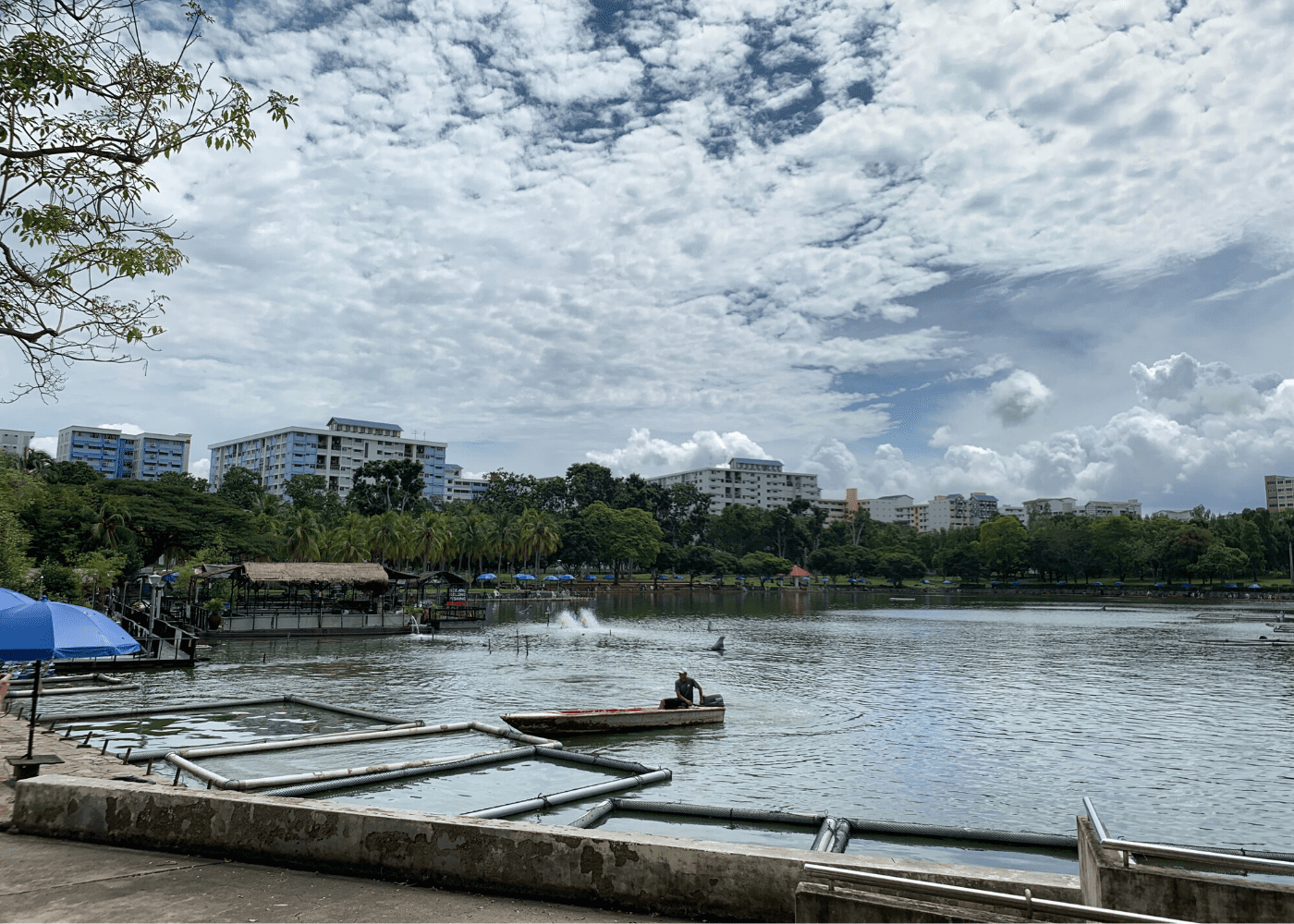 D Best Fishing Pond | Pasir Ris