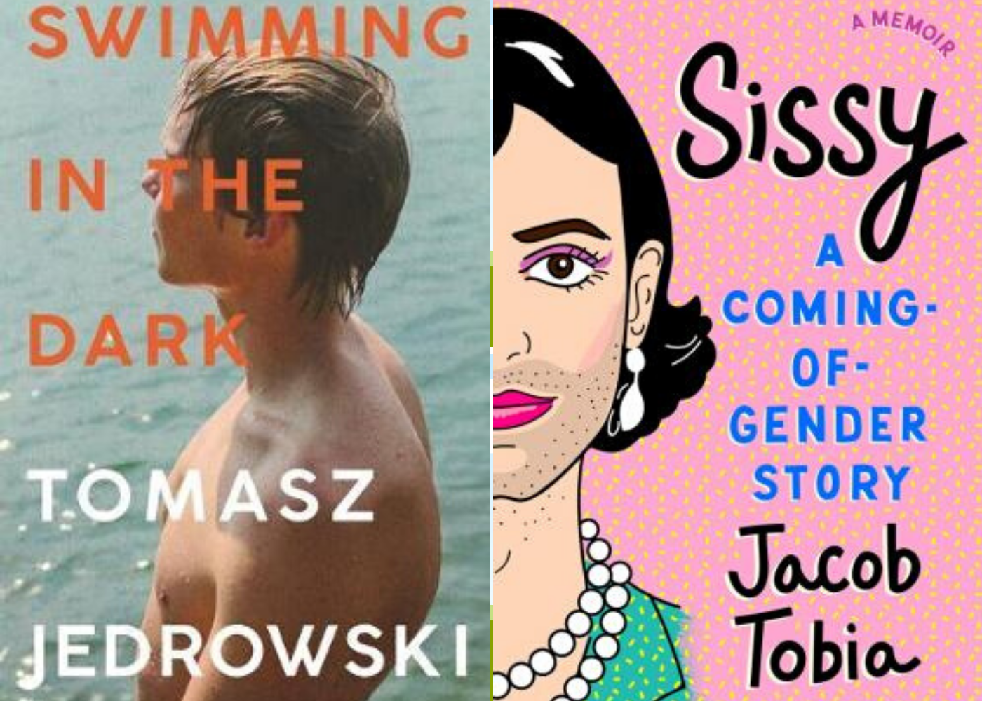 Swimming in the Dark | Sissy, A Coming-of-Gender Story | Honeycombers Book Club June 2020