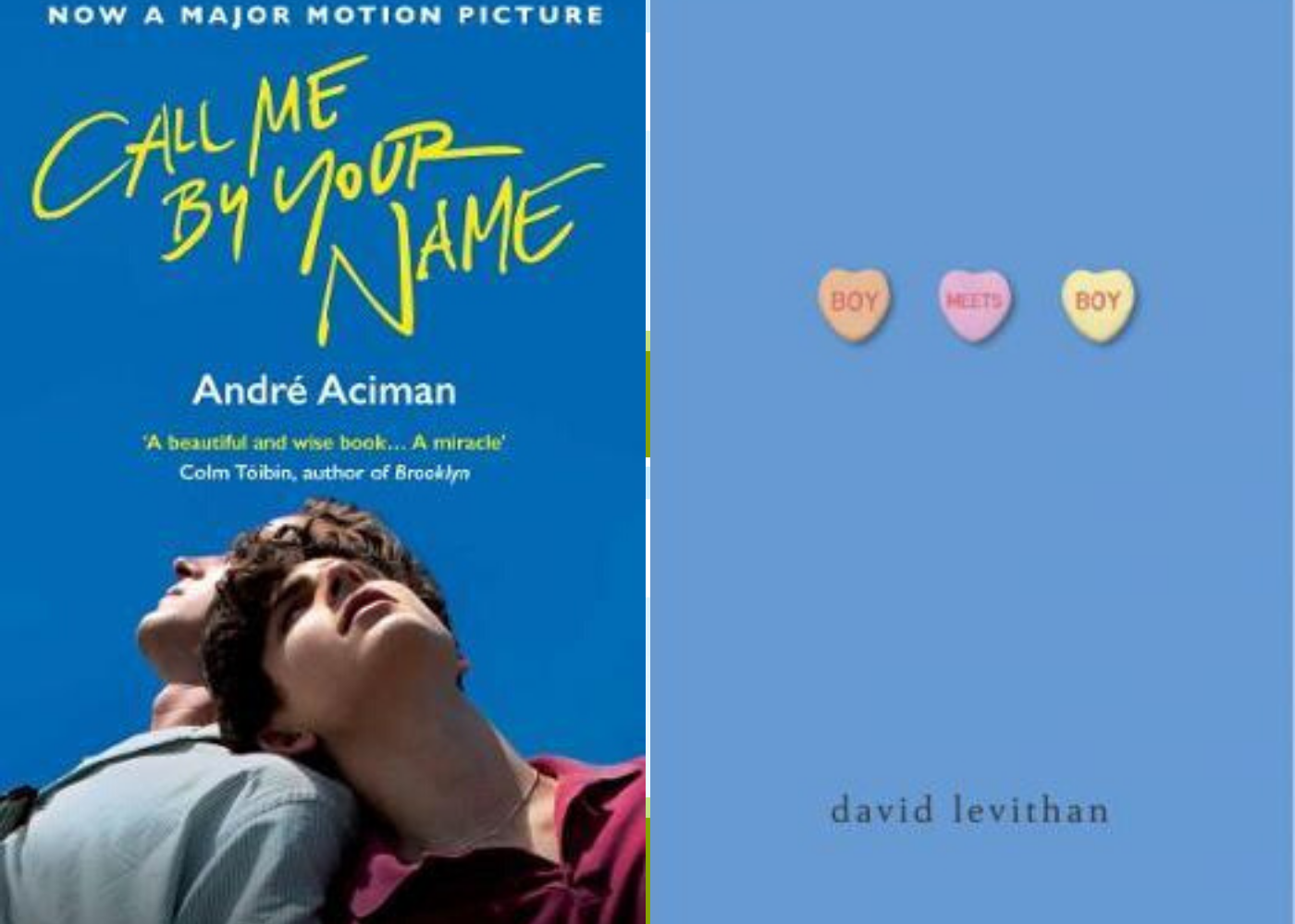Call Me by Your Name | Boy Meets Boy | Honeycombers Book Club June 2020