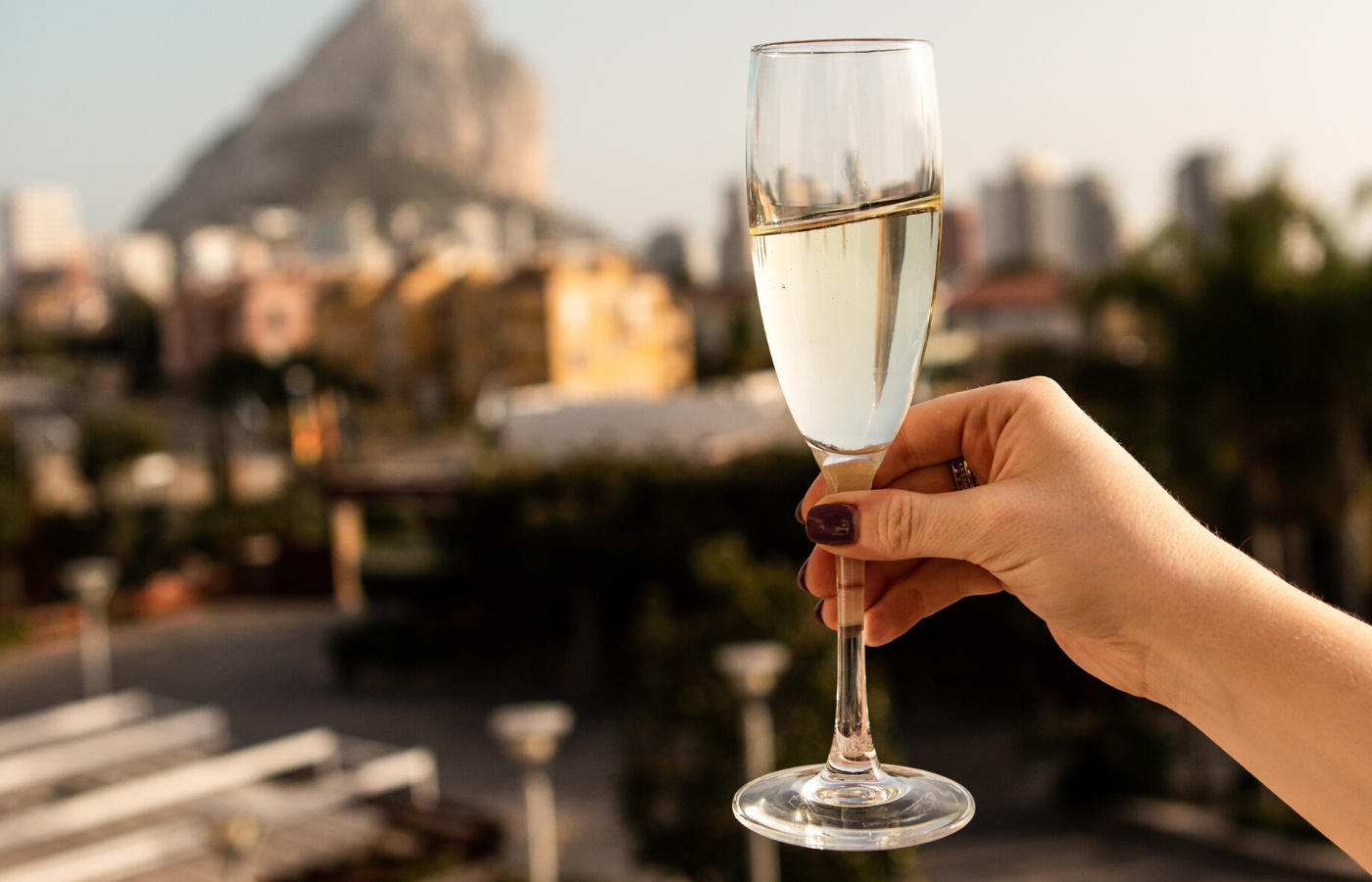 cocktail toast | things to do online