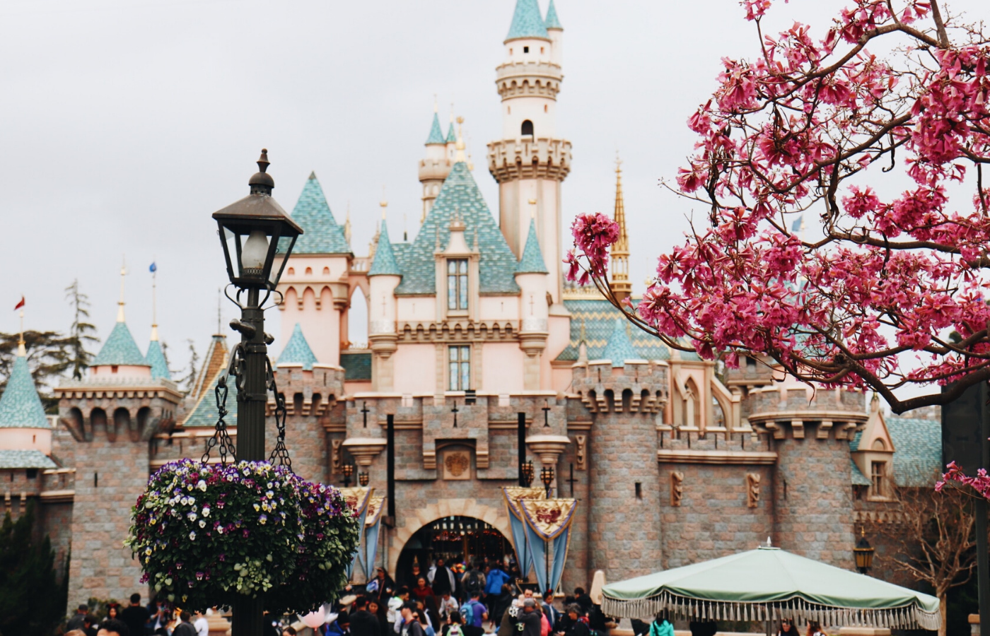 disneyland castle | things to do online