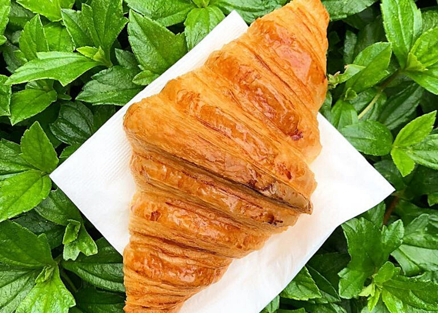 Best cafes for croissants: Bakery Brera
