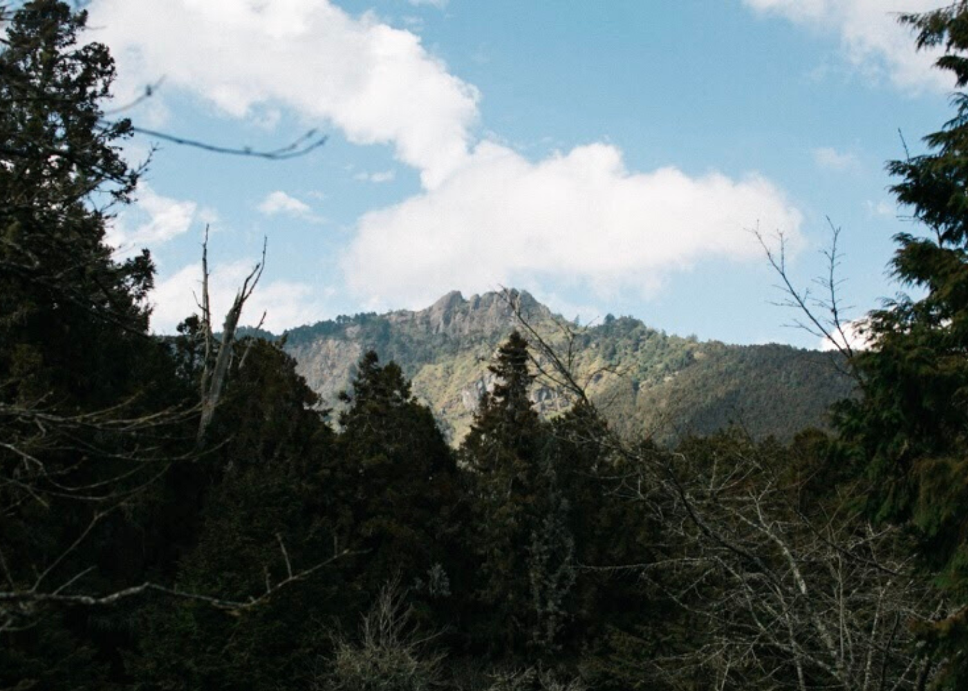 Alishan, Taiwan