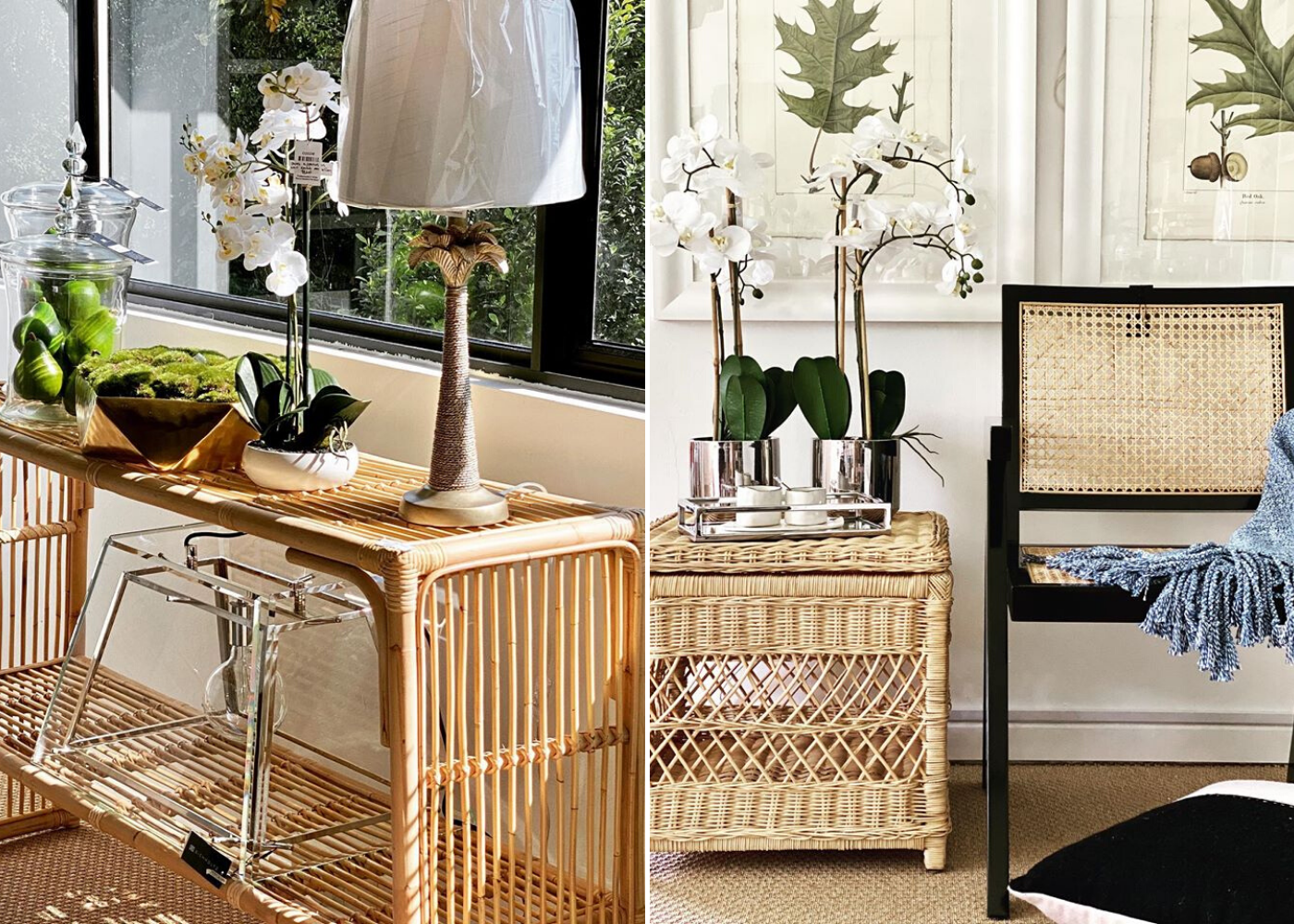 Shop online for tropical bohemian decor in Singapore: Bungalow 55