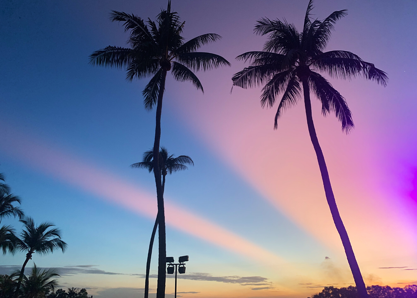 beach sunset | circuit breaker