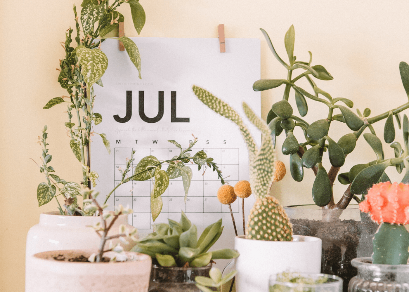 Fantastic things to do this July 2020: Online and offline events