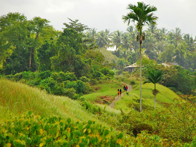 Bali Weather Guide
