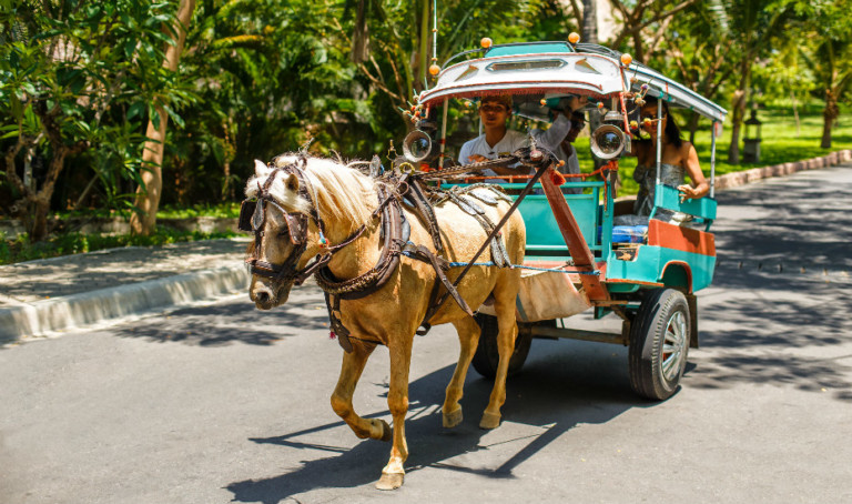 Hotels in Lombok: Escape to Five-Star Island Bliss at The Oberoi