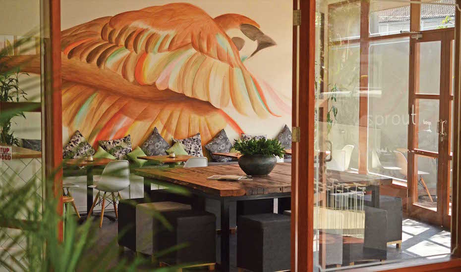 Where to eat in Canggu 30 Best Cafes Bali