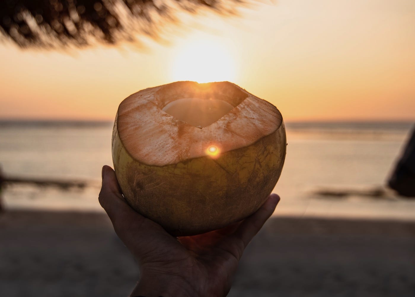 Health benefits of coconut water