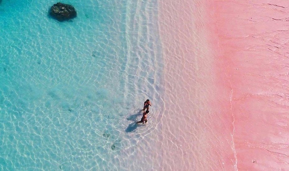 Things to do in Flores