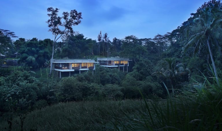 We checked in to Alila Ubud’s Terrace Tree Villas for a weekend of jungle adventures…