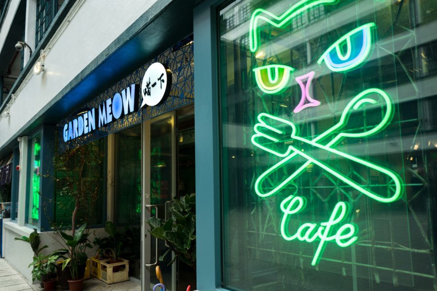 PMQ Hong Kong Garden Meow Cafe