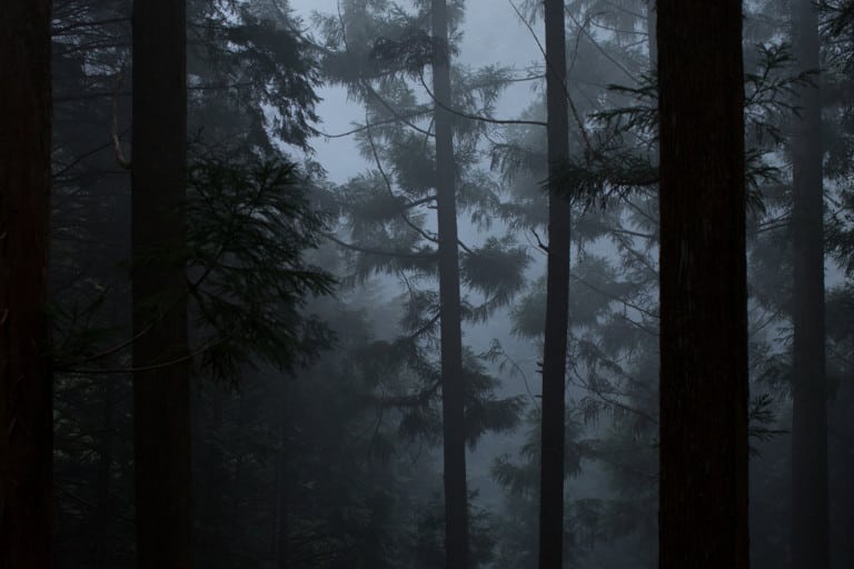 We’re in love with Hwyl by Aesop, a woody perfume reminiscent of an ancient Japanese forest