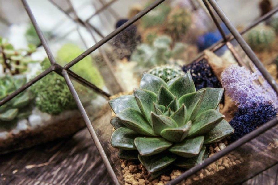 Gifts for men gift ideas Glassfarm