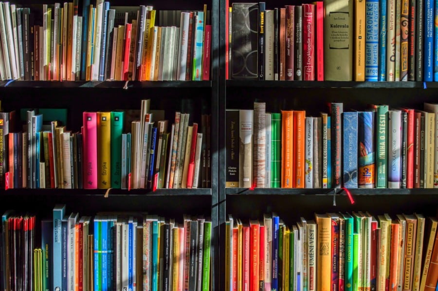 things to do in South Horizons mobile library