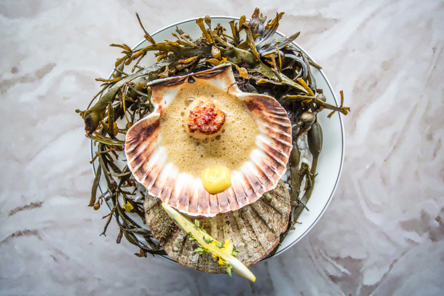 Taste of Hong Kong food festival oyster dish