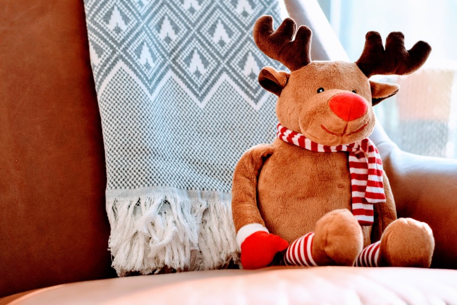 christmas photo kids