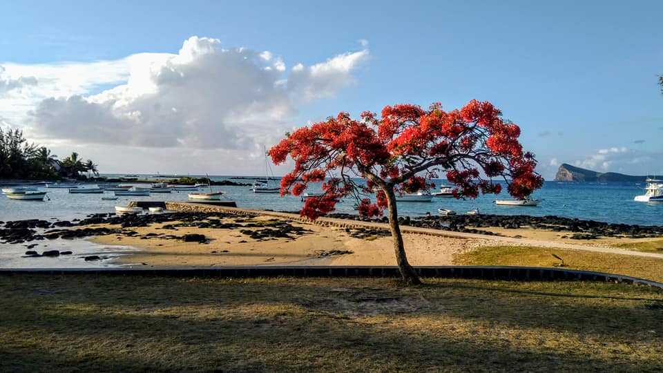 things to do in Mauritius