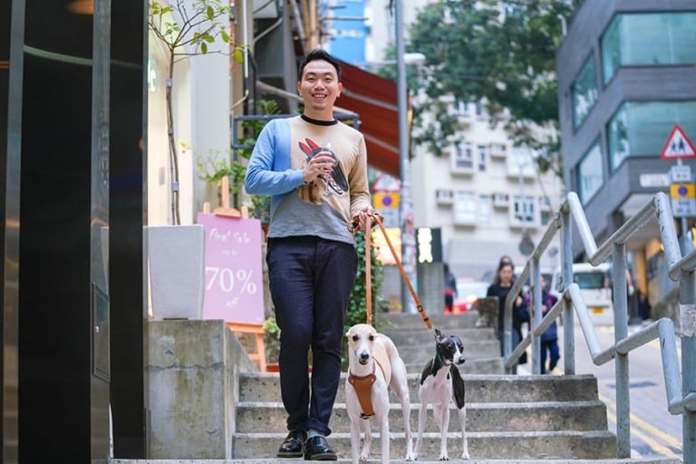 Dogs of Hong Kong: Wan Chai whippets Wagyu and Walnut talk favourite dog parks and fashion