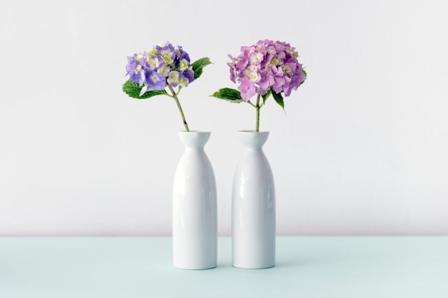 love feng shui pairing