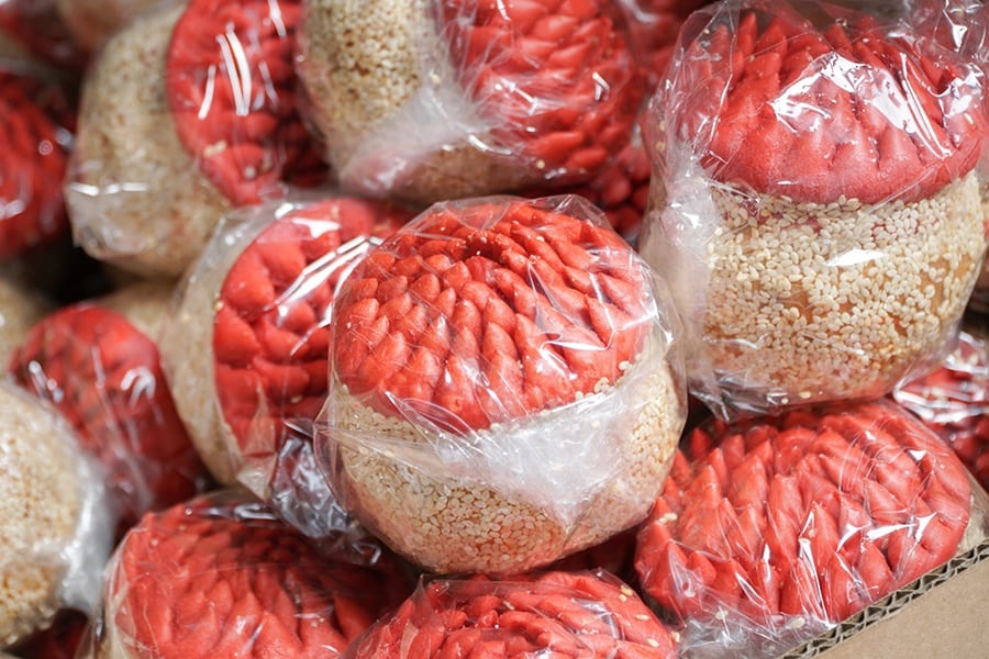 Chinese New Year food fried sesame balls