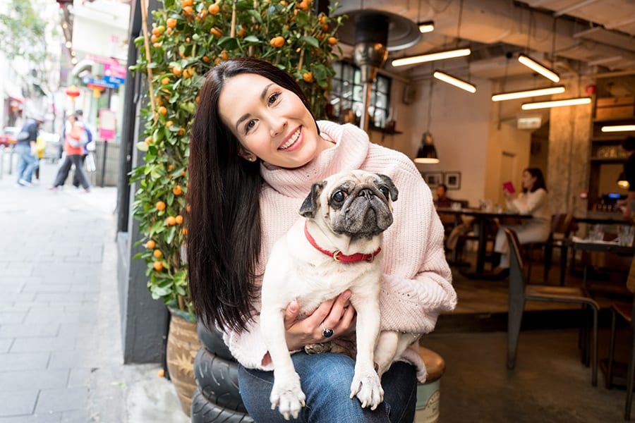 Lucy the Pug Katie Forster