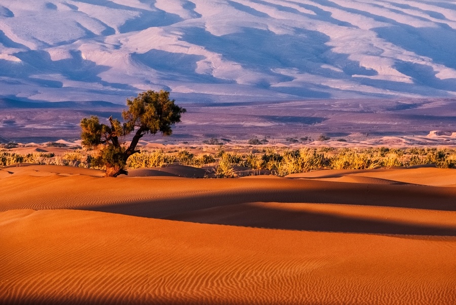 Is sustainability the most boring topic in the world? Joakim Cimmerbeck investigates