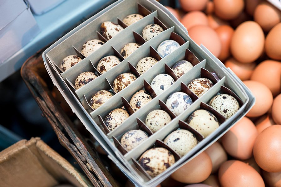Hong Kong eggs quail eggs