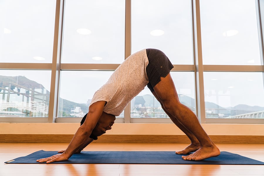 30 day yoga journey downward dog