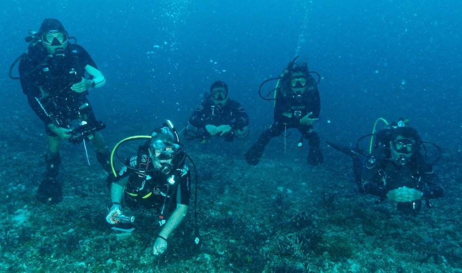 water sports in hong kong diving