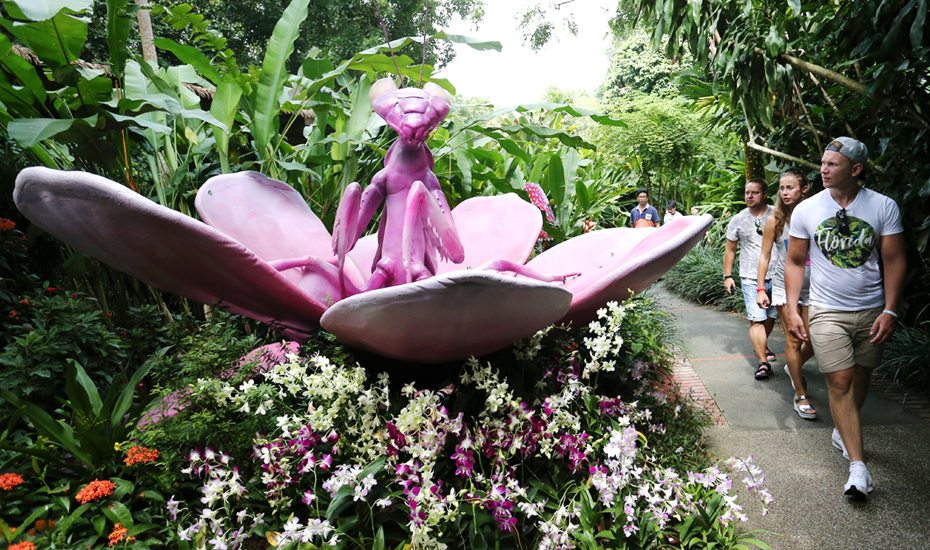 Close encounters with supersized invertebrates at Singapore Zoo’s Land of Giants