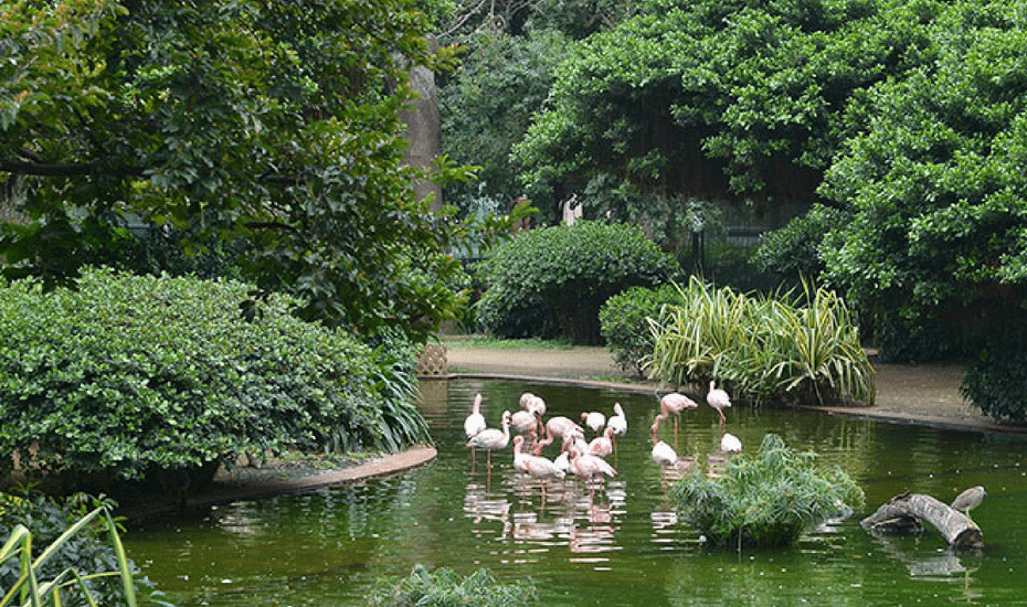 free and cheap activities with kids in hong kong kowloon park