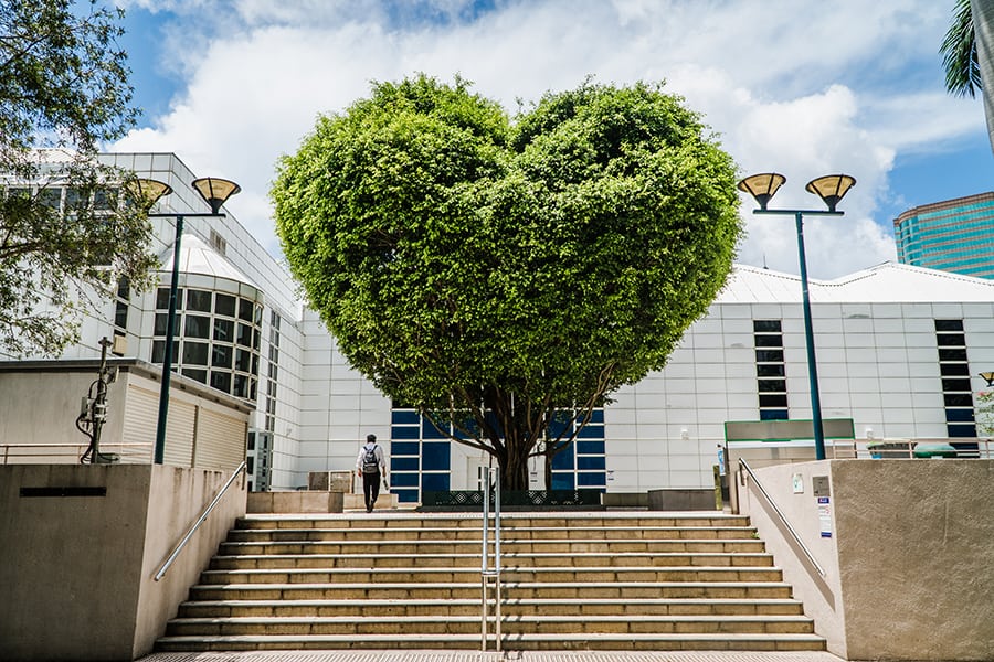 the mira hong kong Kowloon park heart tree