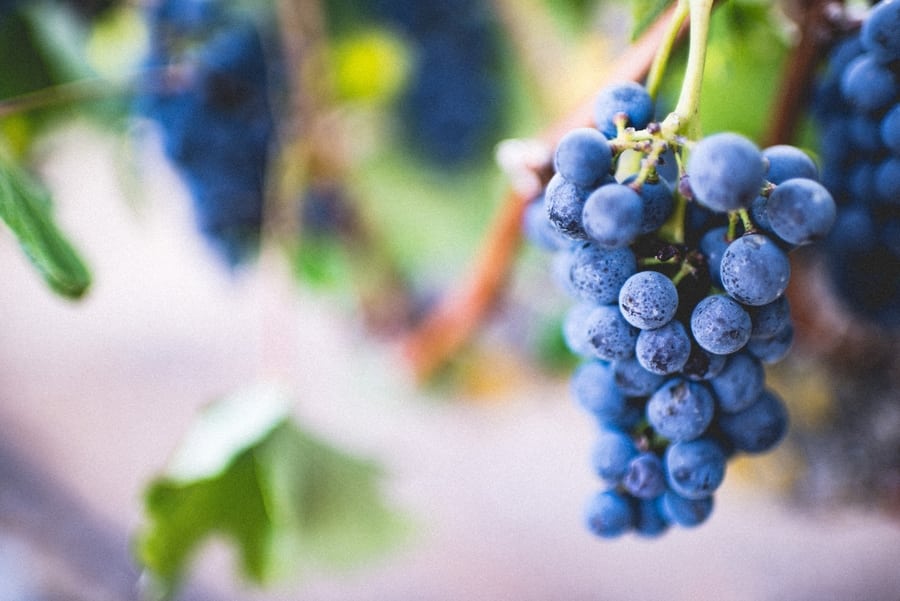 30 days raw vegan grapes